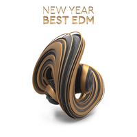 New Year Best EDM