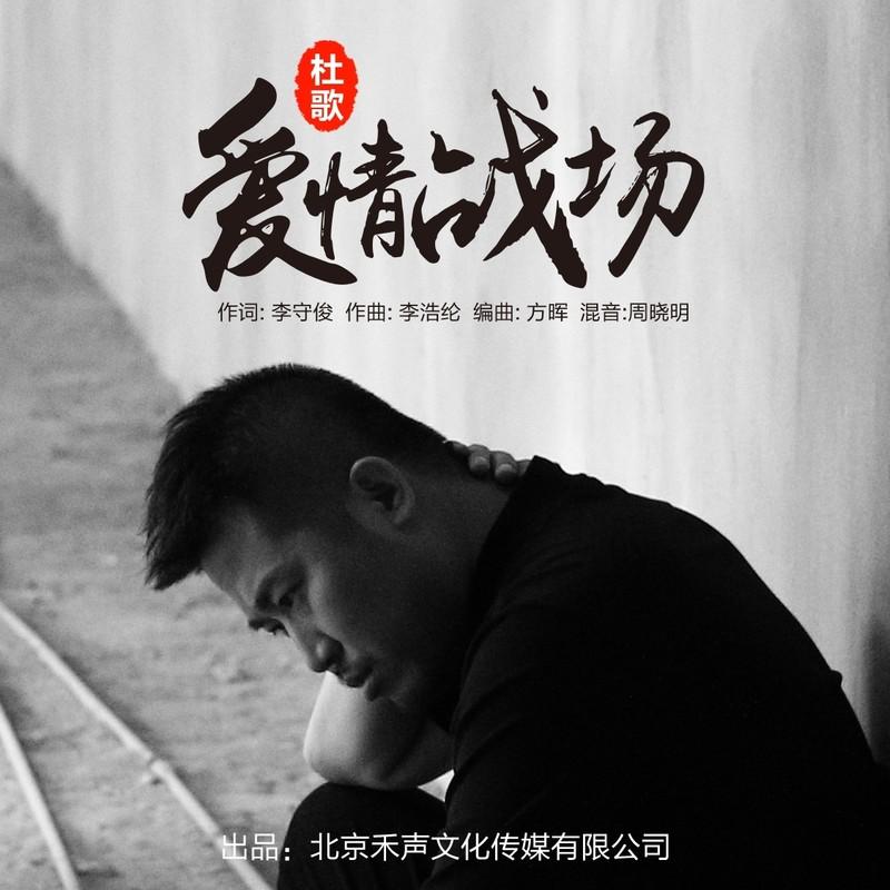 爱情战场 - 杜歌封面
