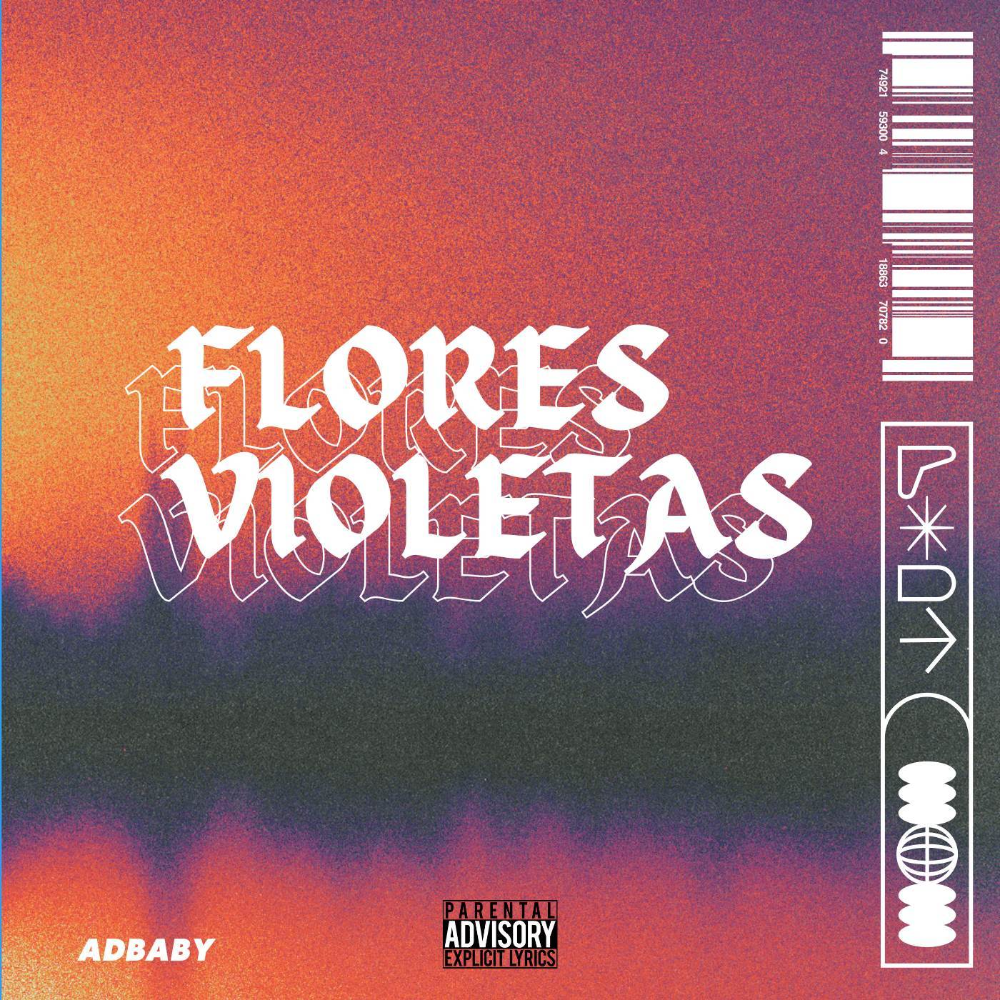 Flores Violetas