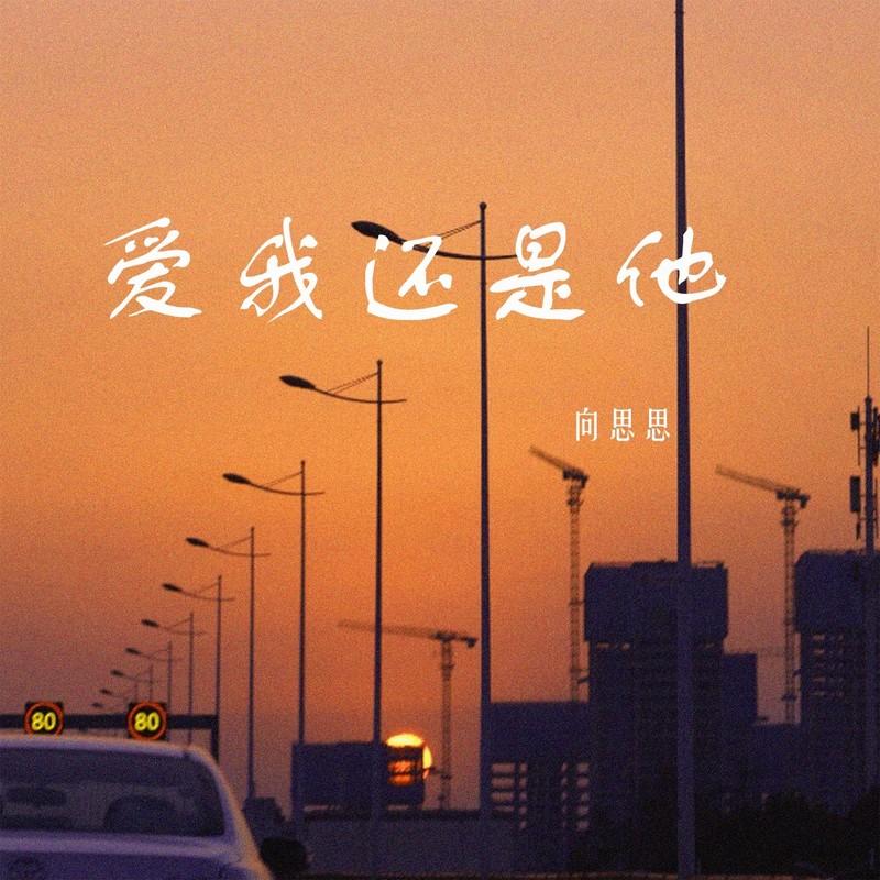 爱我还是他(DJ版) - 向思思封面