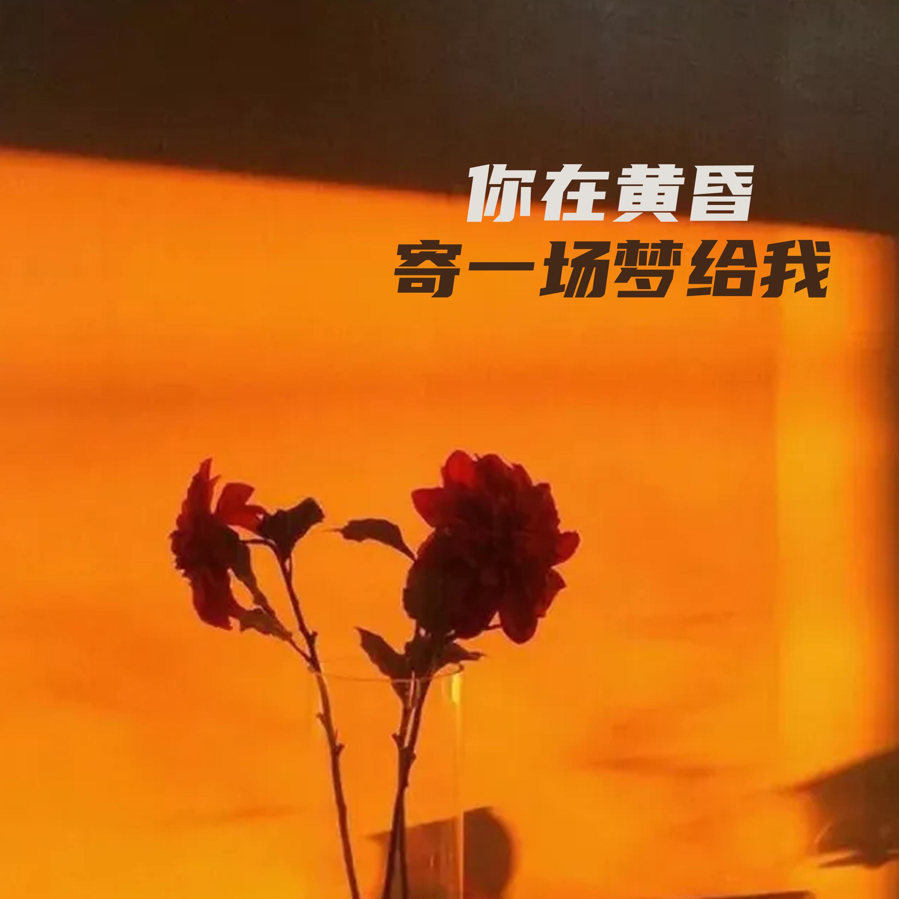 让风带着我飞封面