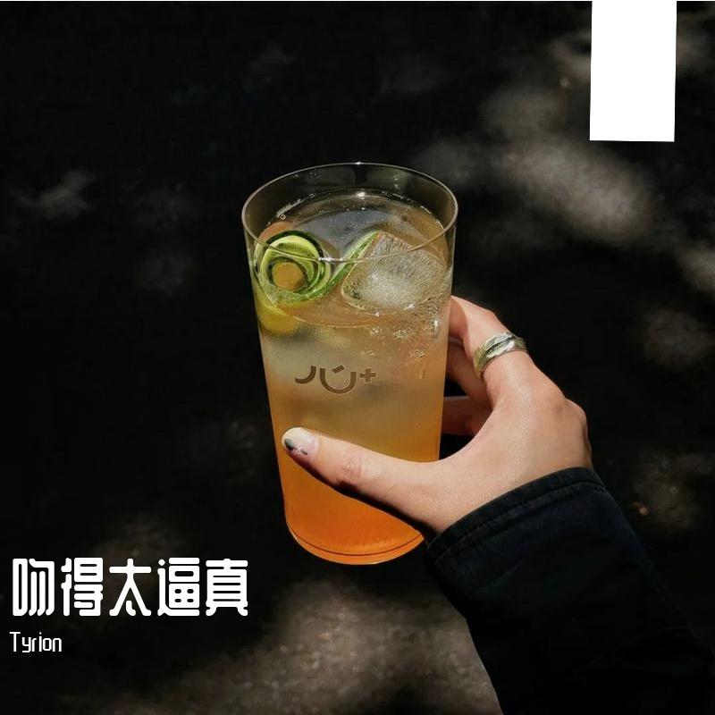吻得太逼真 (DJ版)封面