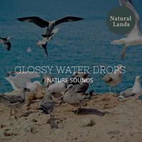 Glossy Water Drops - Nature Sounds