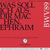 Bachkantate, BWV 89 - Was soll ich aus dir machen, Ephraim