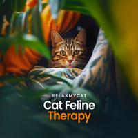 Cat Feline Therapy