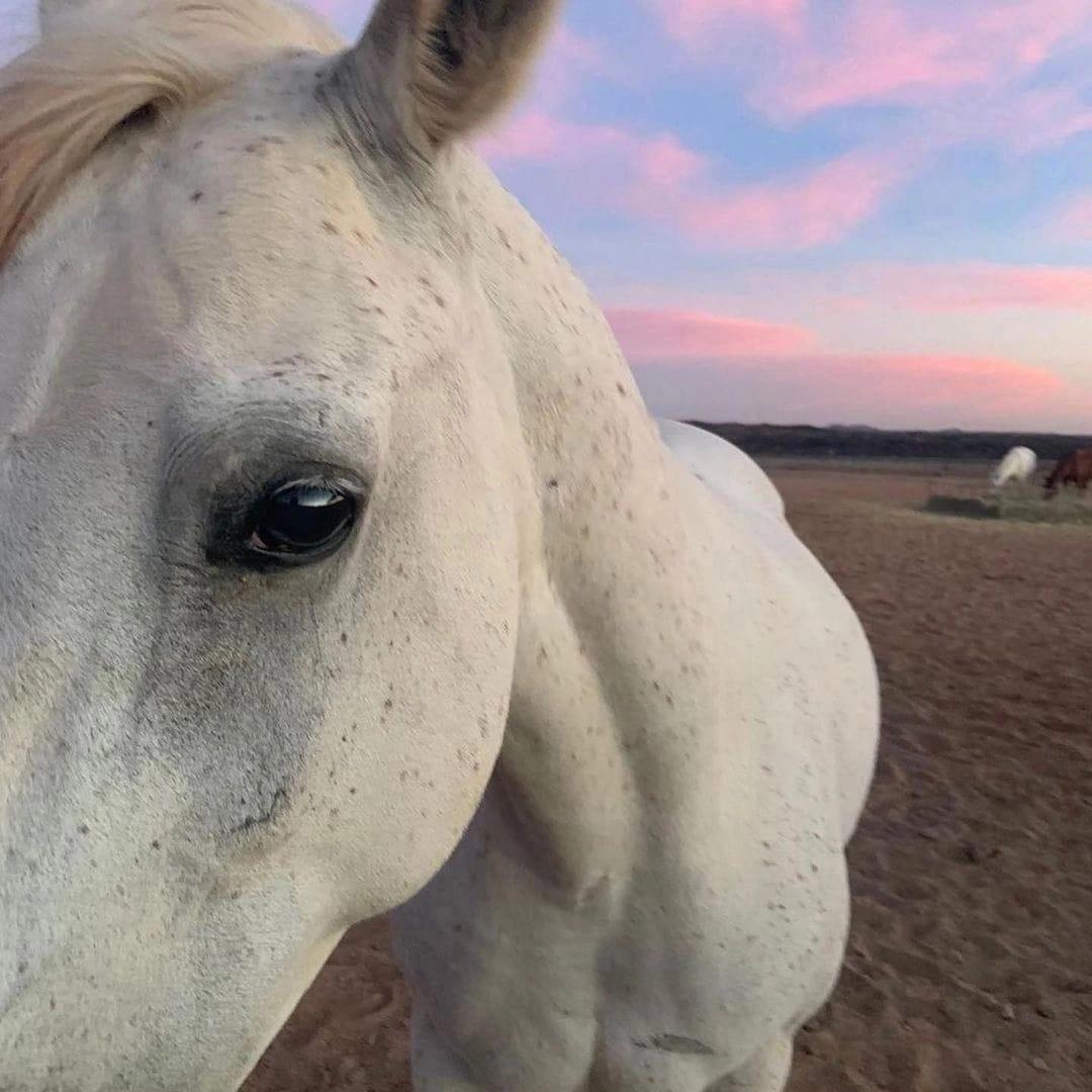 Infinity（QJ remix）