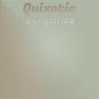 Quixotic Burglaries