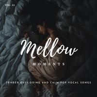 Mellow Moments - Tender Easy Going And Calm Pop Vocal Songs, Vol. 22