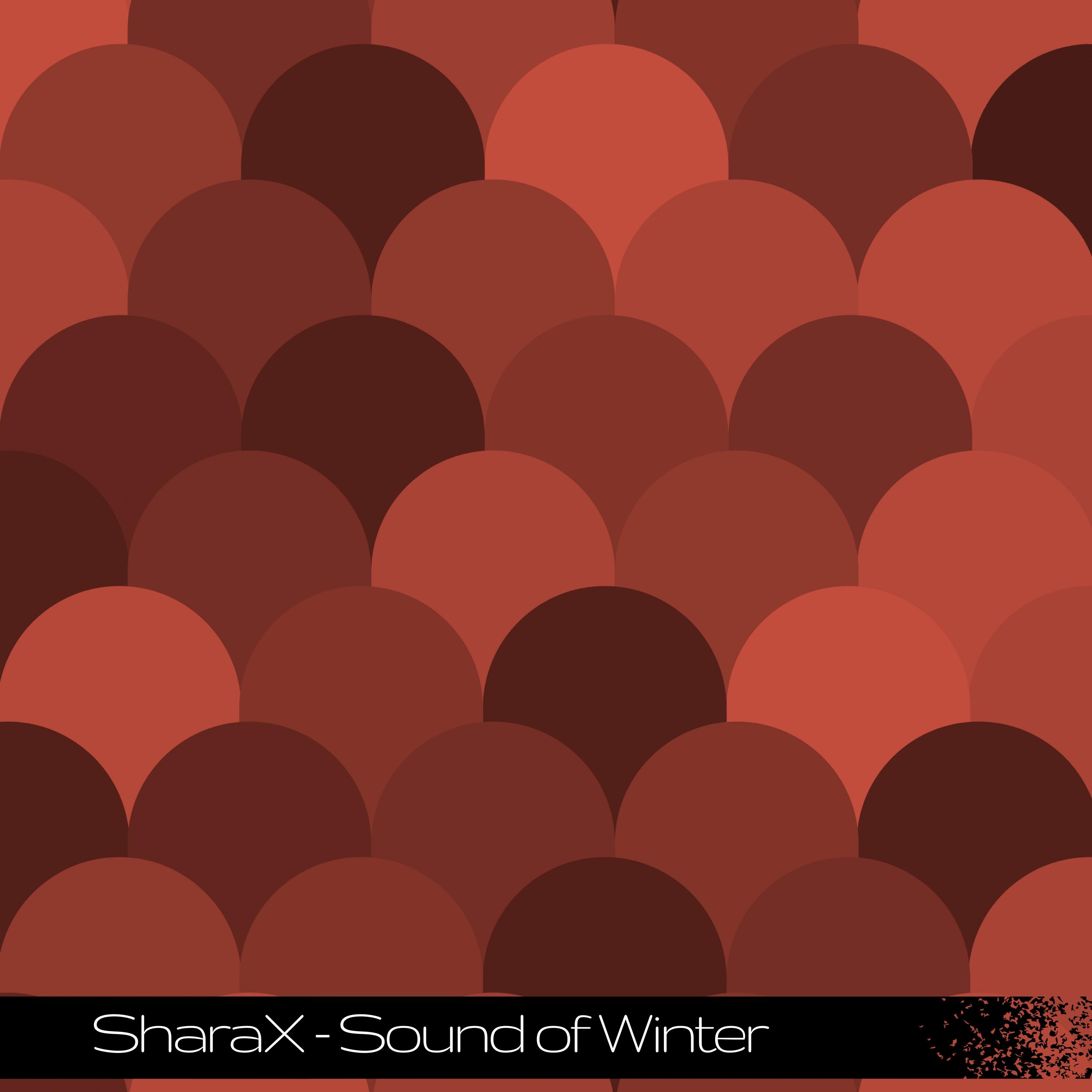 Sound of Winter_SharaX_Sound of Winter | 在线播放_Sound of Winter歌词_Sound of Winter下载 | 网易云音乐