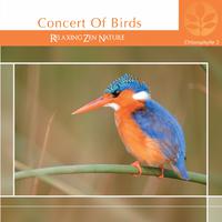 Chlorophylle II Concert of Birds