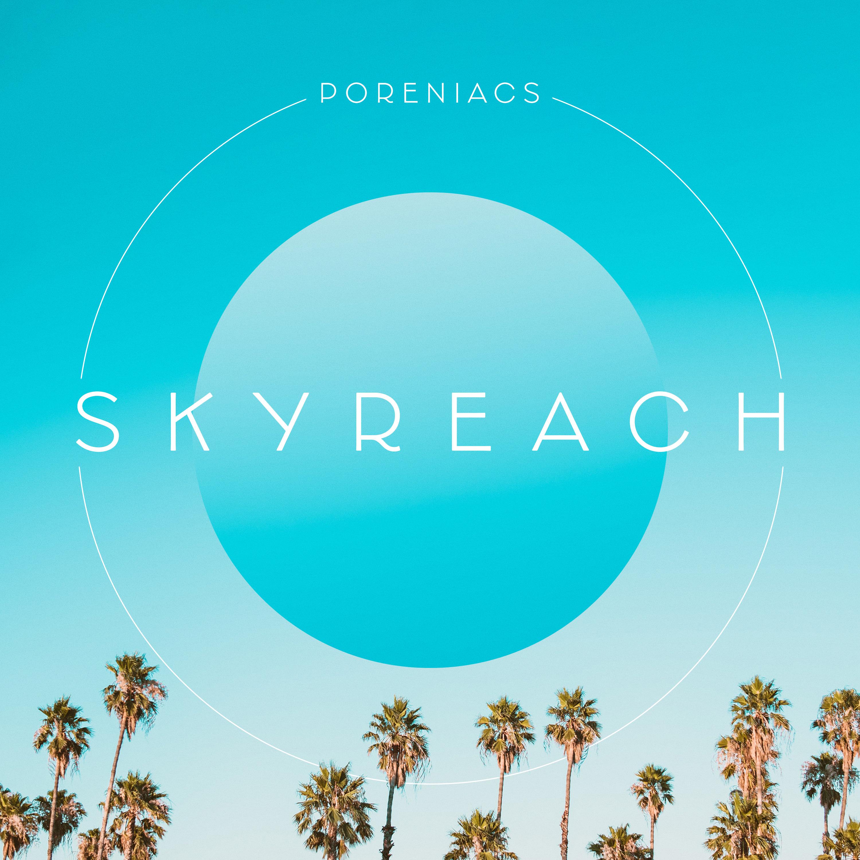 SkyReach封面