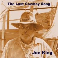 The Last Cowboy song