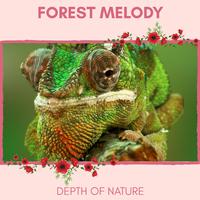 Forest Melody - Depth of Nature