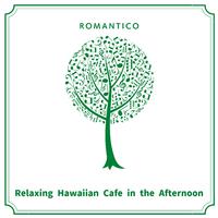 Relaxing Hawaiian Cafe in the Afternoon