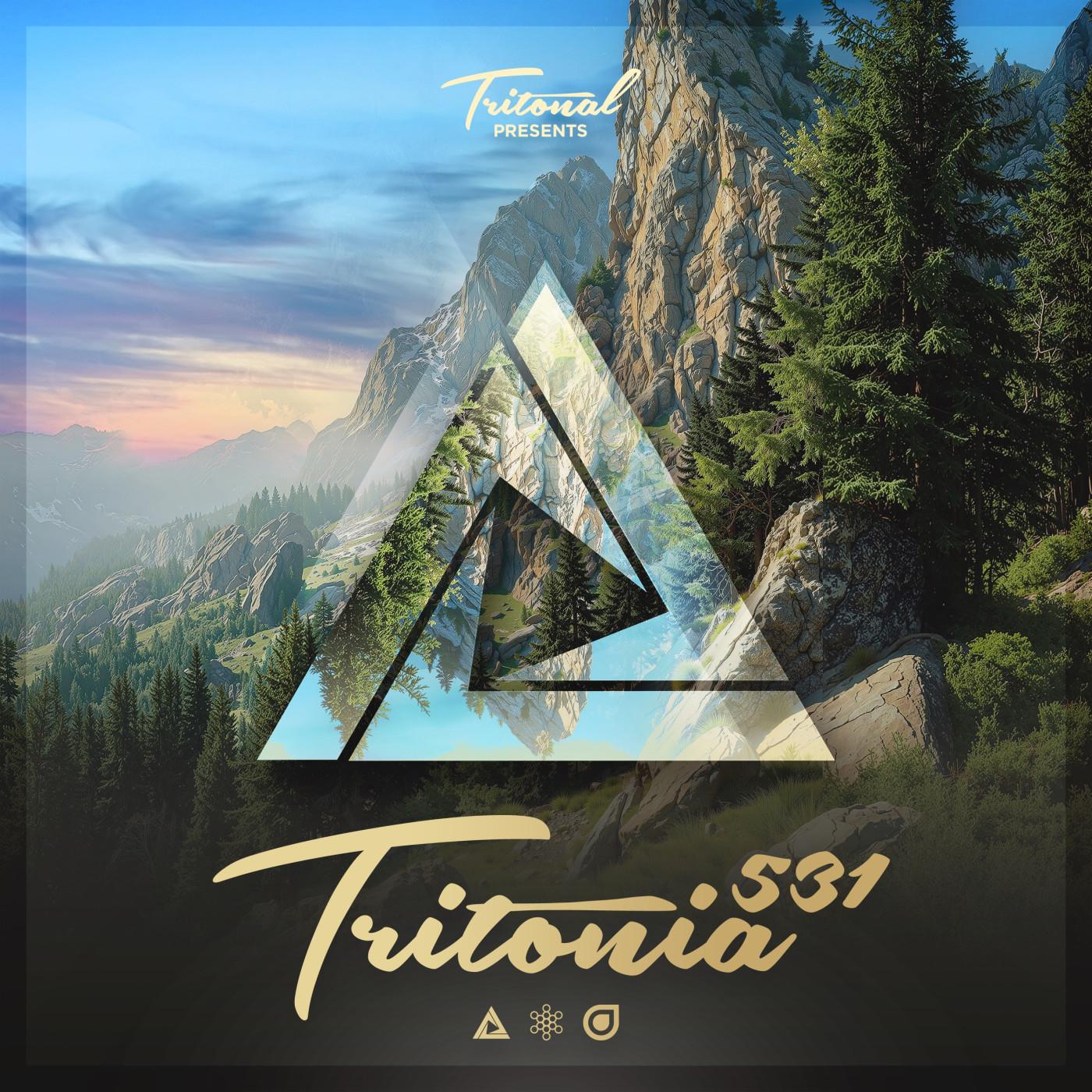 In The Night (Tritonia 531)