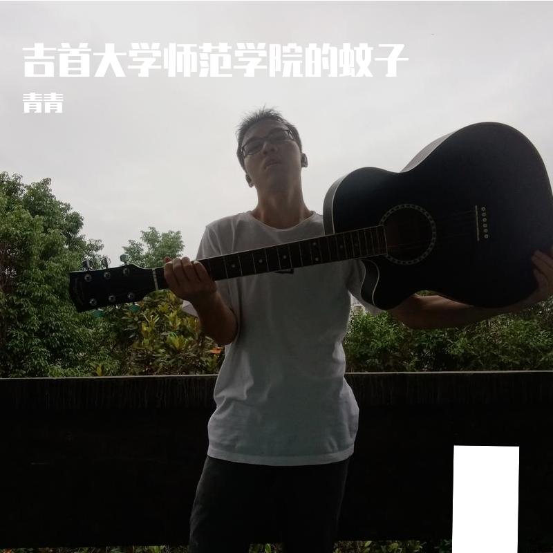 吉首大学师范学院的蚊子封面