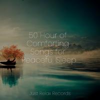 50 Hour of Comforting Songs for Peaceful Sleep