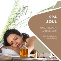 Spa Soul - Calm, Dreamy And Mellow Music For Relaxation And Reflextion, Vol. 27