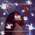 爱的故事上集 (DJ版) - ZYHan、鹤安封面