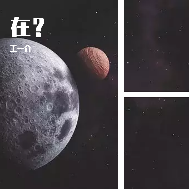 桥豆麻袋（片段）封面