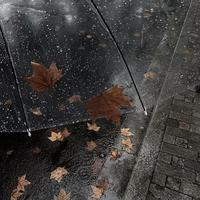rain