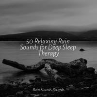 50 Relaxing Rain Sounds for Deep Sleep Therapy