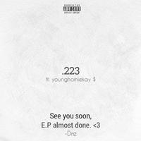 .223 (feat. younghomiekay $)