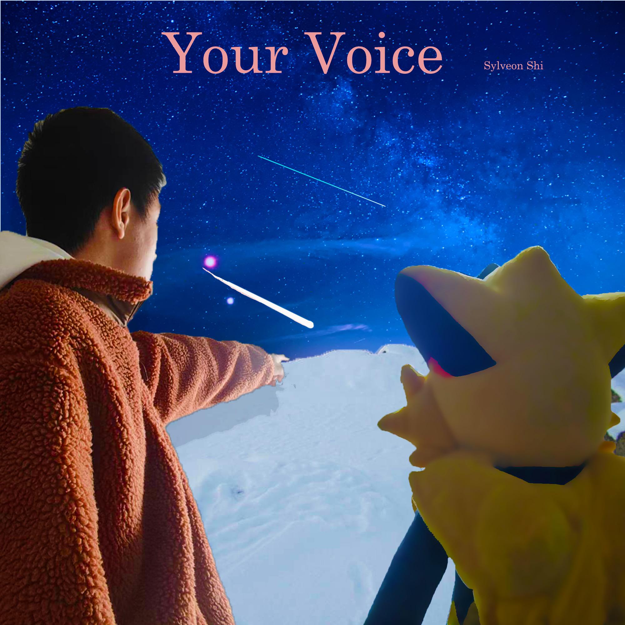 Your Voice