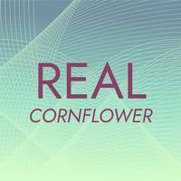 Real Cornflower