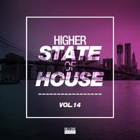 Higher State of House, Vol. 14