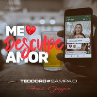 Me Desculpe Amor