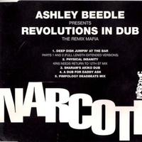 Revolutions In Dub - The Remix Mafia