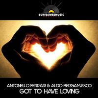 Got To Have Loving