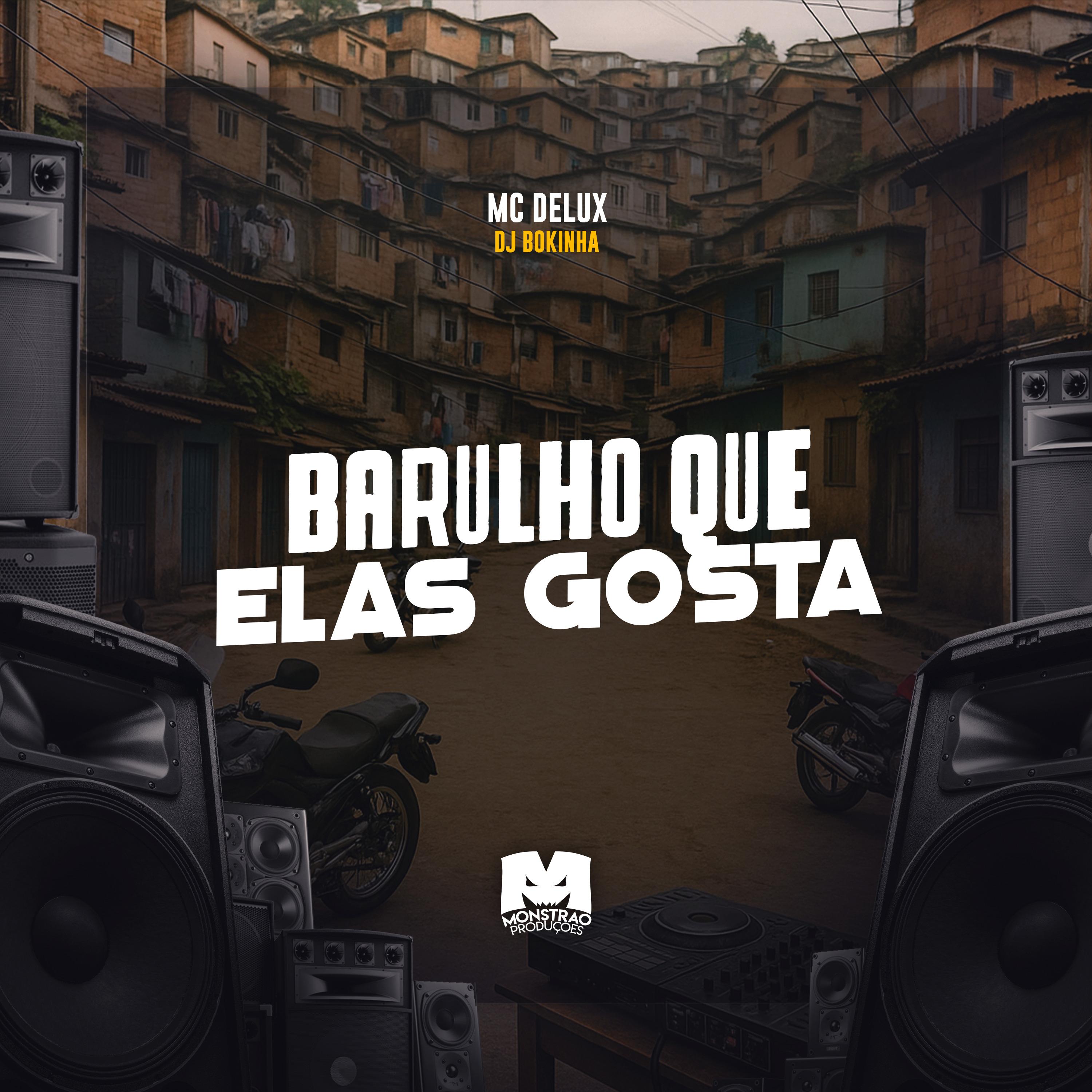 Barulho Que Elas Gosta