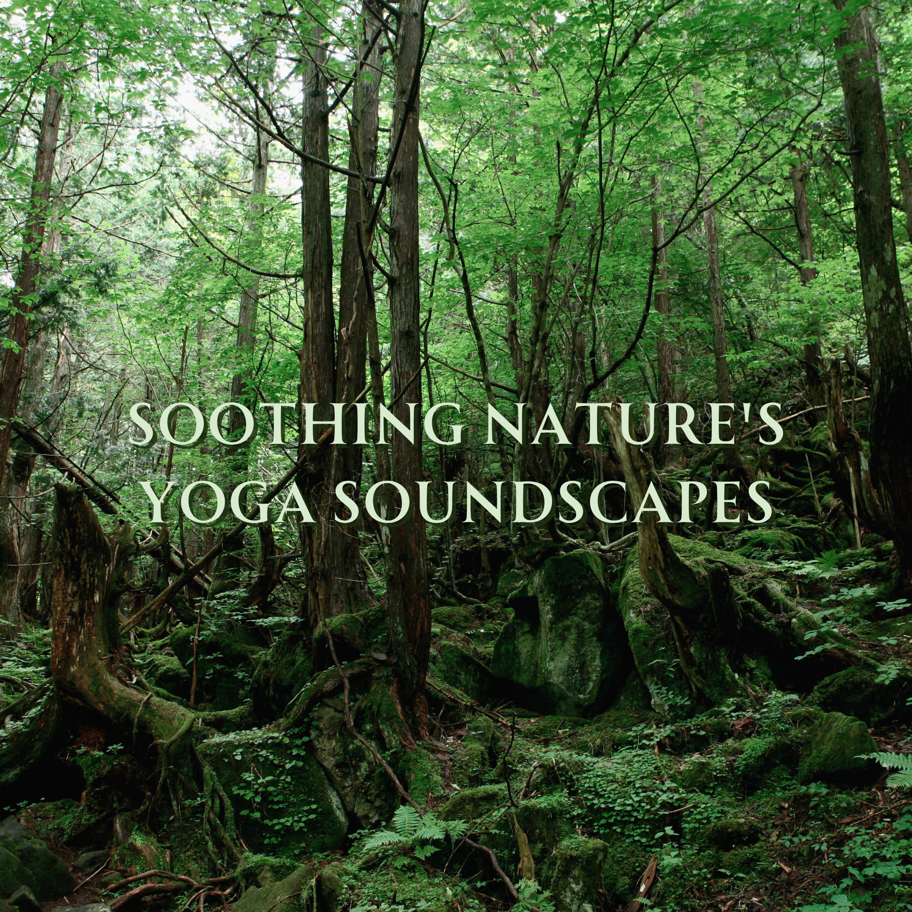 Elevated Forest Asanas_Whispers of Yoga in Nature's Embrace_Soothing Nature's Yoga Soundscapes | 在线播放_Elevated Forest Asanas歌词_Elevated Forest Asanas下载 | 网易云音乐