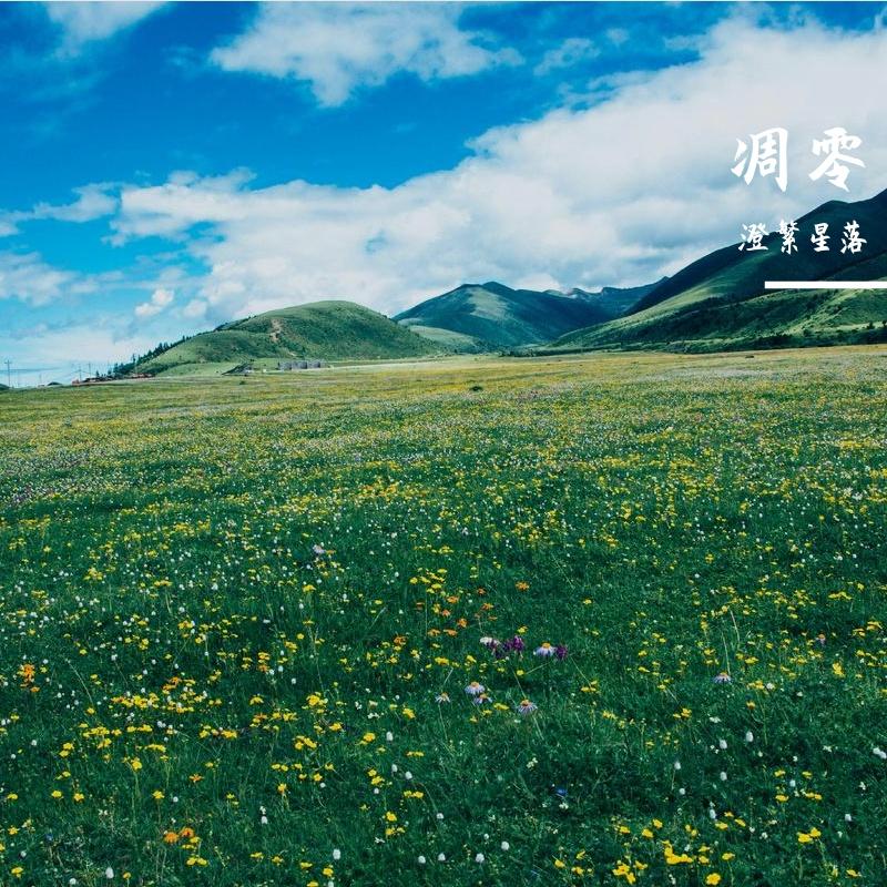 凋零封面