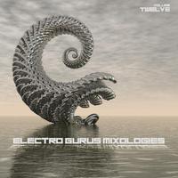 Electro Gurus: Mixologies, Vol. 12