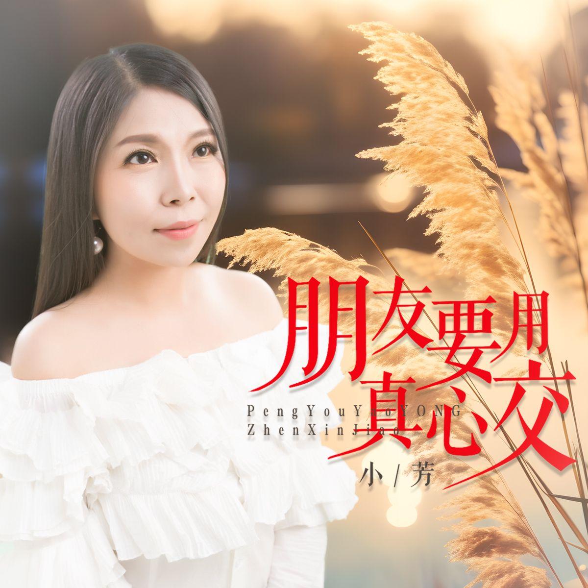朋友要用真心交 (DJ版)封面
