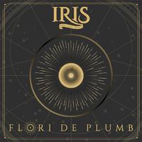 Flori de plumb