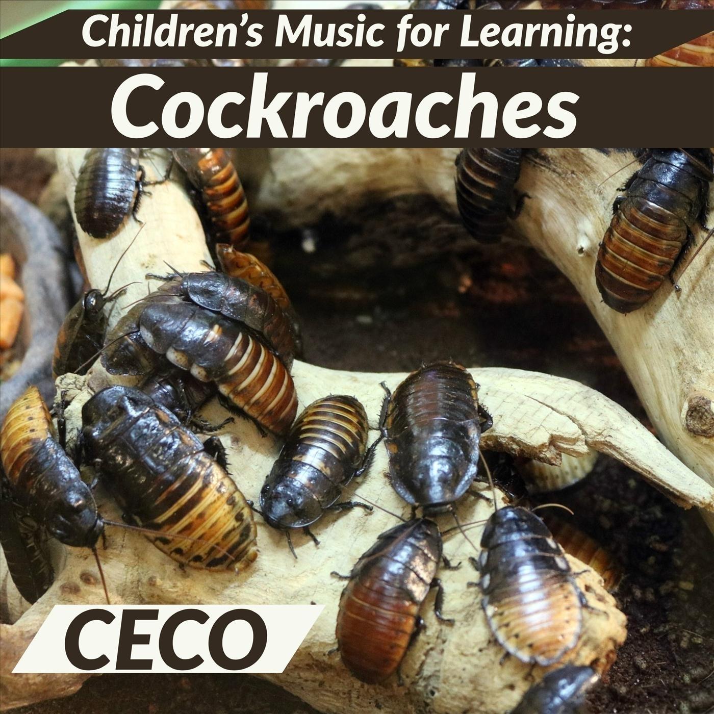 Children's Music for Learning: Cockroaches