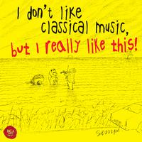 I don't like classical music, but I really like this!