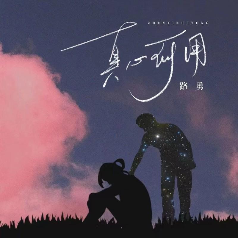 真心何用 (DJ沈念版)封面