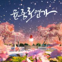 윤중로 연가
