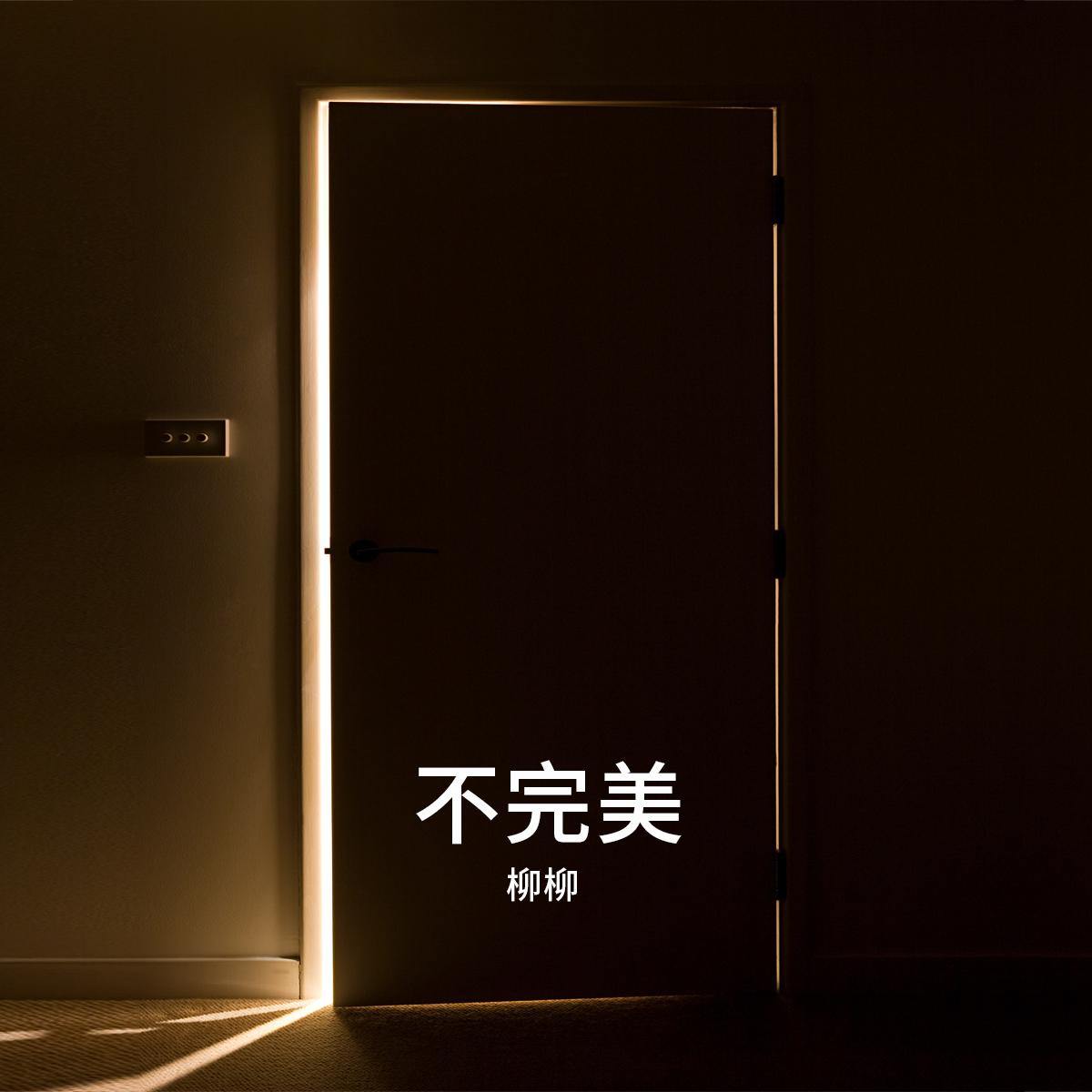 不想长大封面
