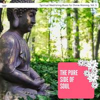 The Pure Side Of Soul - Spiritual Meditating Music For Divine Morning, Vol. 5