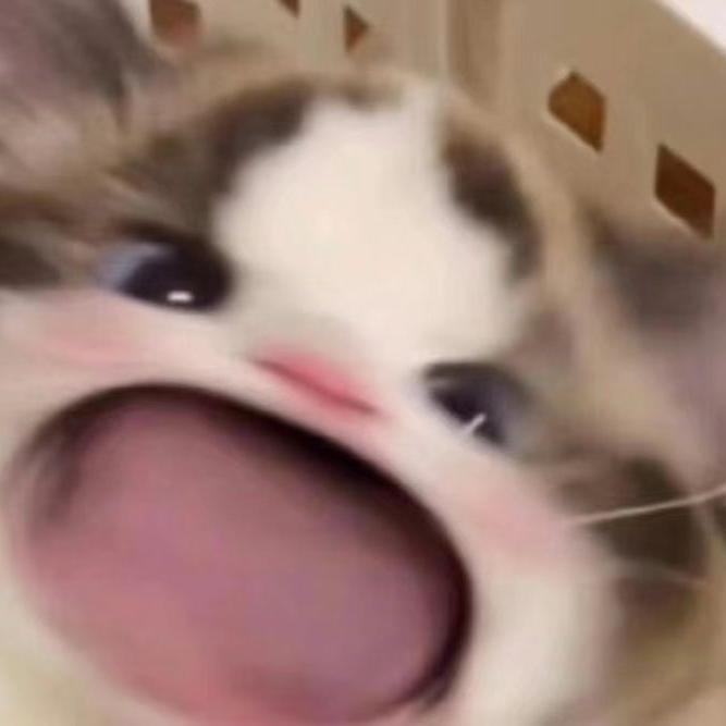 如此（翻自 单依纯）