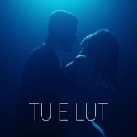 TU E LUT