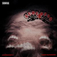 Screaming (feat. Konney)