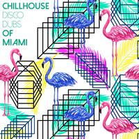 Chillhouse Disco Dubs of Miami