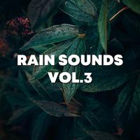 Rain Sounds Vol.3